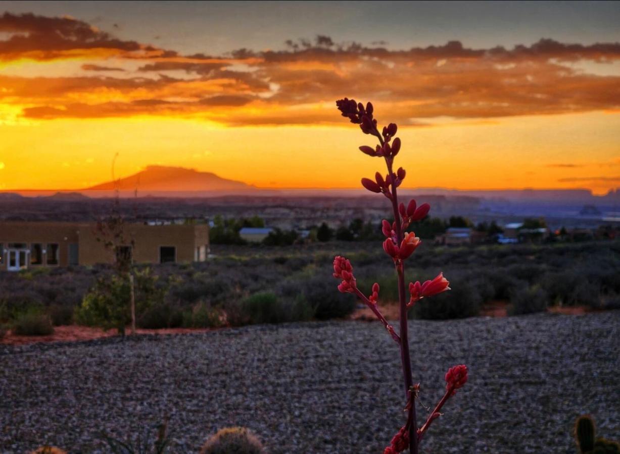 Canyon Oasis Suite With Grand Mesa View Big Water Bagian luar foto